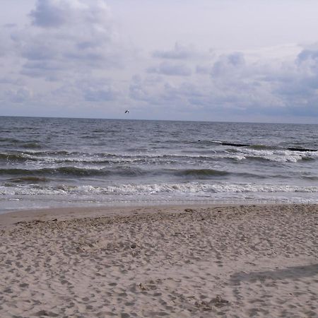 Ferienzimmer Am Walde Zempin Exterior foto