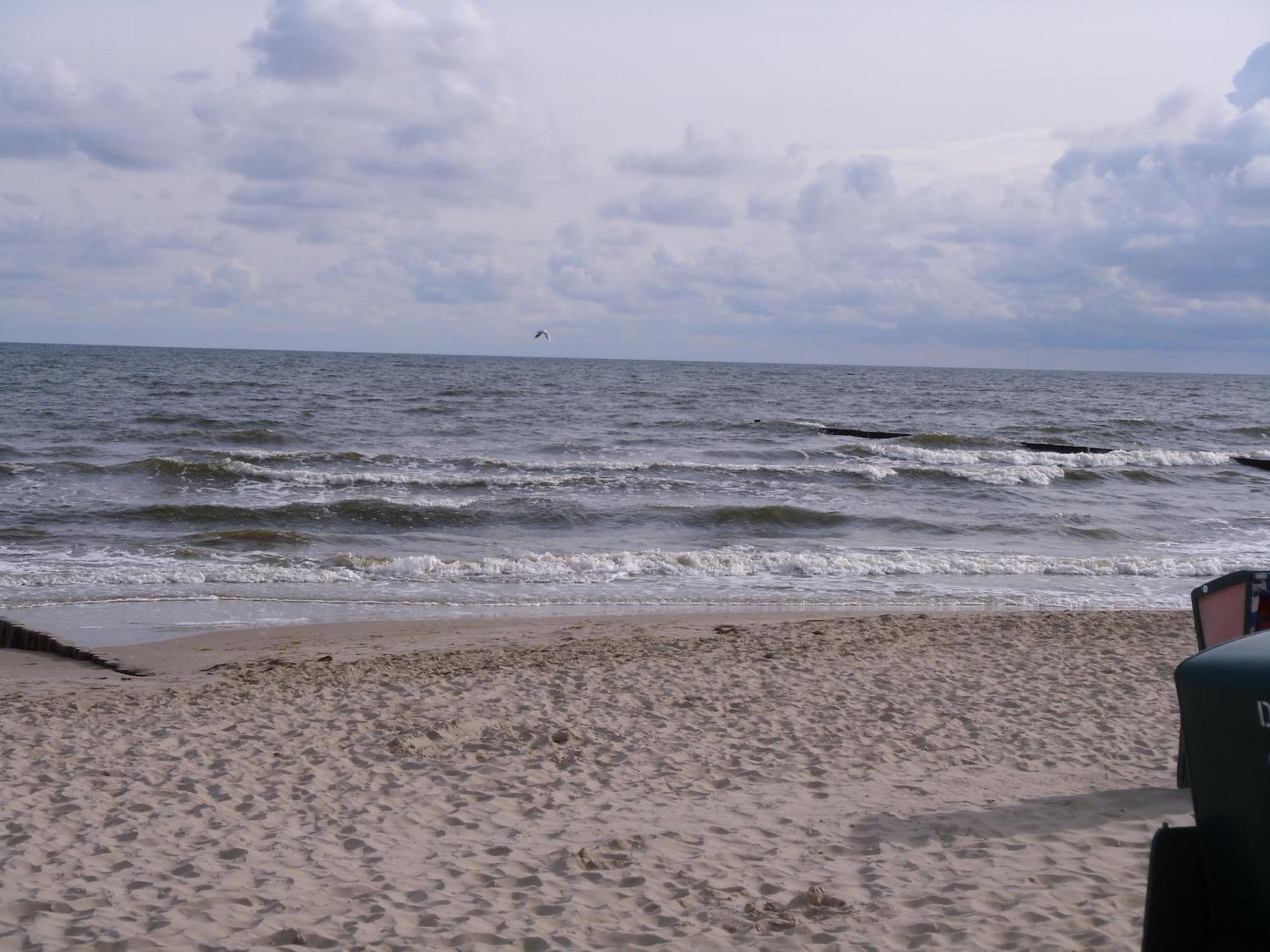 Ferienzimmer Am Walde Zempin Exterior foto