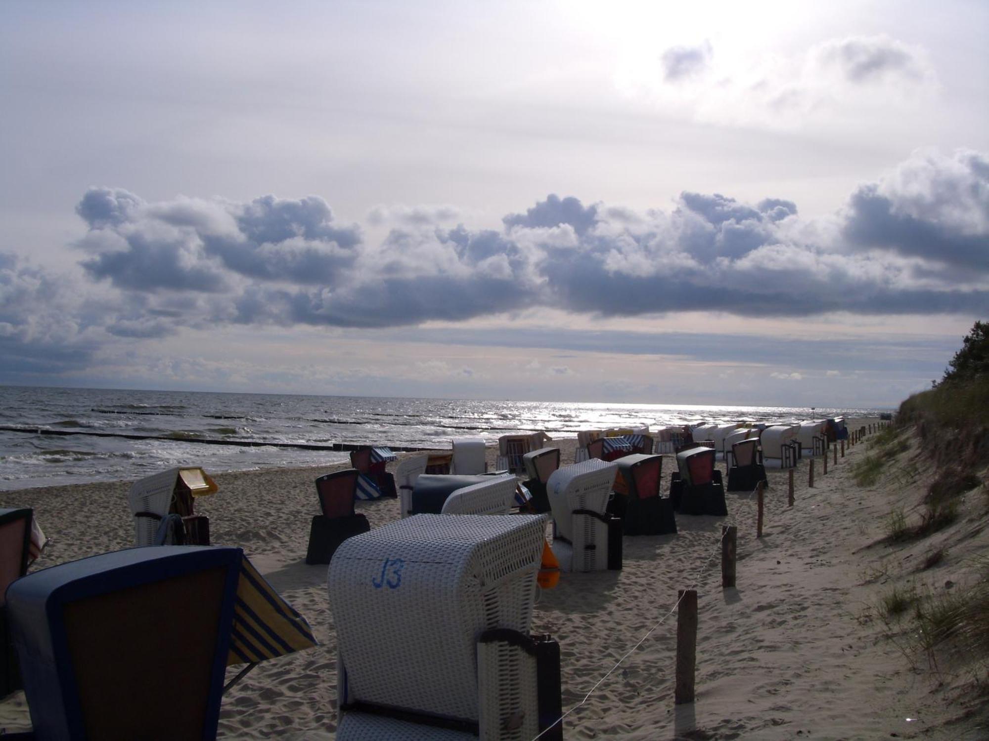 Ferienzimmer Am Walde Zempin Exterior foto