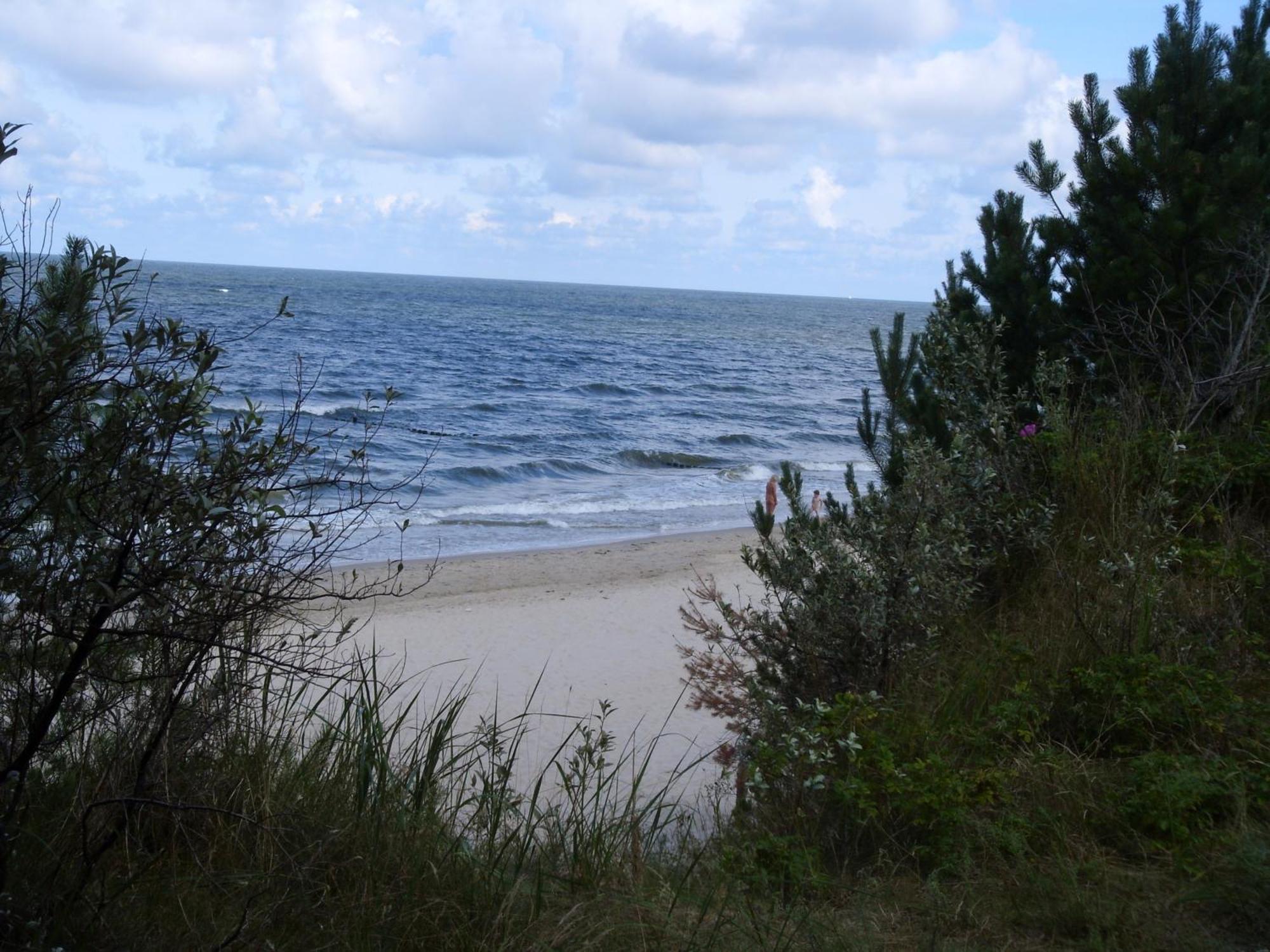 Ferienzimmer Am Walde Zempin Exterior foto